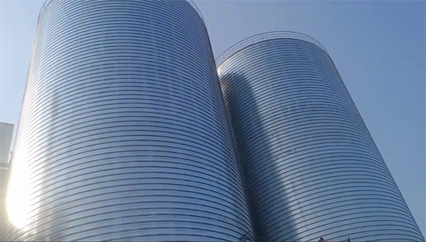 兴隆2座混凝土高架卷板仓